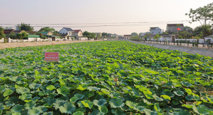 Hung Tan (Hung Nguyen district) is one of 16 model new rural communes of Nghe An province. Photo: Hai Dang