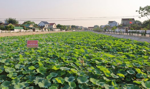 Hưng Tân (huyện Hưng Nguyên) là một trong 16 xã nông thôn mới kiểu mẫu của tỉnh Nghệ An. Ảnh: Hải Đăng