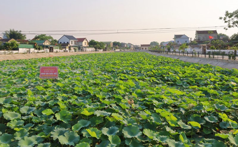 Hung Tan (Hung Nguyen district) is one of 16 model new rural communes of Nghe An province. Photo: Hai Dang