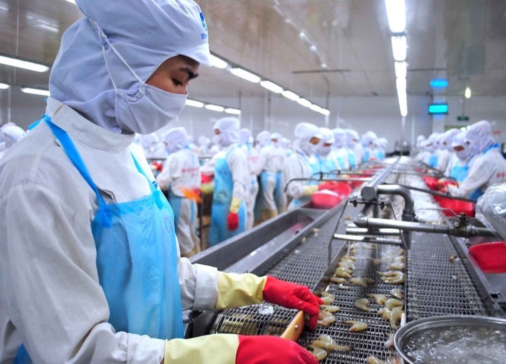 Experts say the target of nearly 10 billion USD in seafood exports in 2024 is feasible. Photo: Nhat Ho