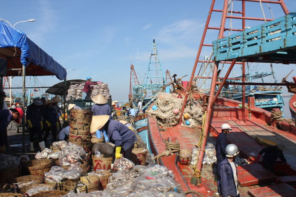 Ben Tre is determined to join the whole country in removing the IUU yellow card. Photo: Thanh Nhan