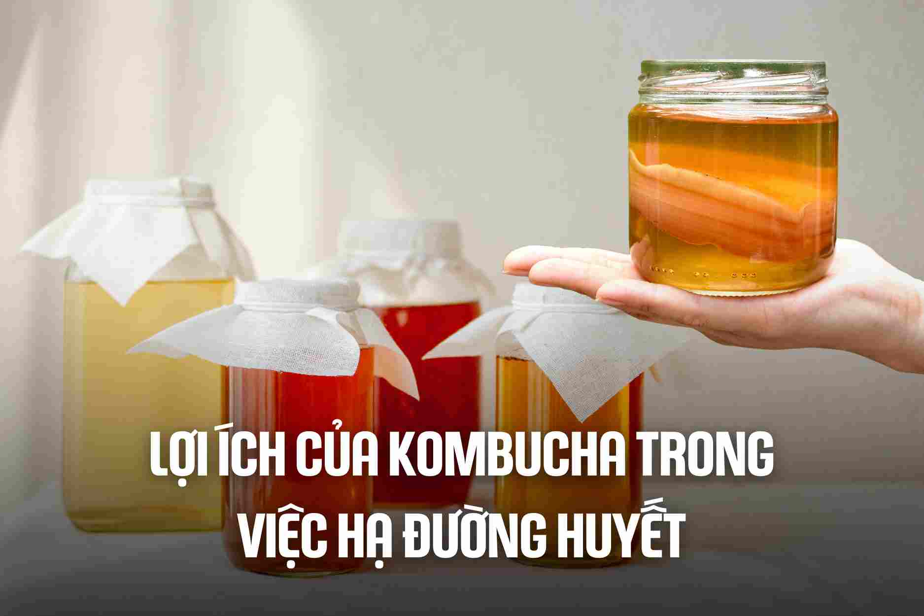 Benefits of kombucha in lowering blood sugar