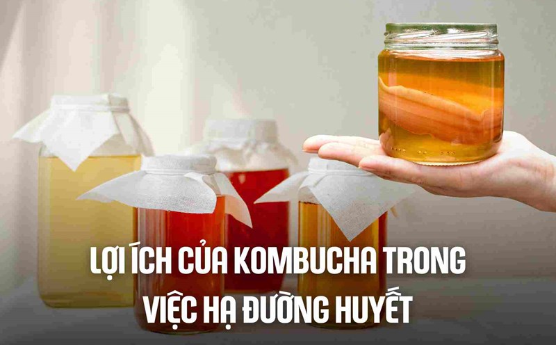 Benefits of kombucha in lowering blood sugar