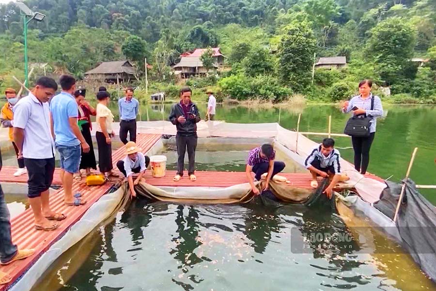 Doanh thu tu viec ban ca cua HTX thuy san Manh Danh dat gan 1 ti dong/nam. Anh: Quang Dat