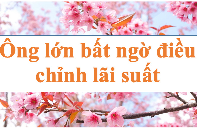 Big guy suddenly adjusts interest rates. Illustration: Ha Vy