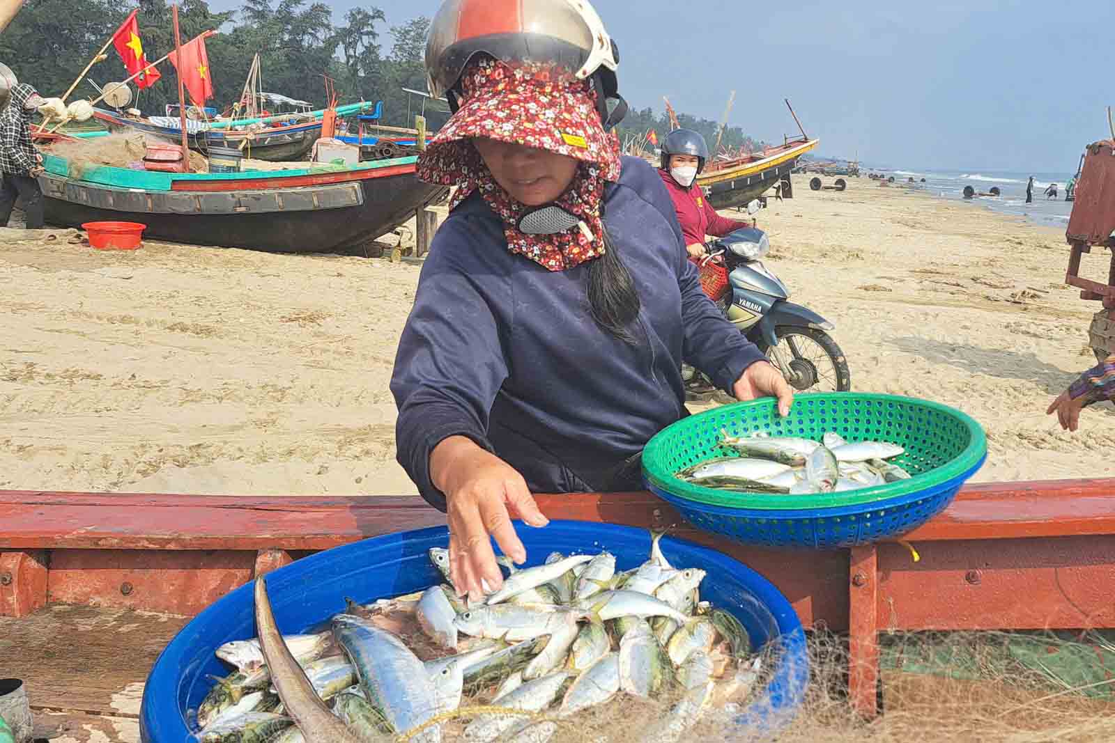 Moi kg ca Bac Ma nay co gia tu 50.000 - 60.000 dong khi tau vua cap ben, ban ngay tren bo. Anh: Tran Tuan.