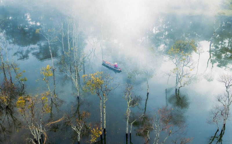 Because it is not yet known to many people, Suoi Tia Da Lat still retains its wild beauty and inherent tranquility and purity. Photo: Sang DL
