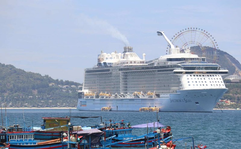 Khanh Hoa is looking for solutions to avoid losing international tourist destinations from cruise ships. Photo: Phuong Linh