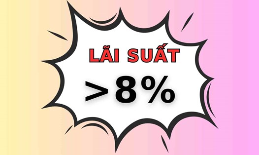 Lãi suất tiết kiệm 13 tháng trong hệ thống ngân hàng dao động quanh ngưỡng 4,4 - 9,5%. Đồ họa: Thạch Lam