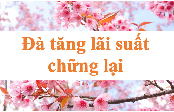 Interest rate hikes are slowing down. Illustration: Ha Vy