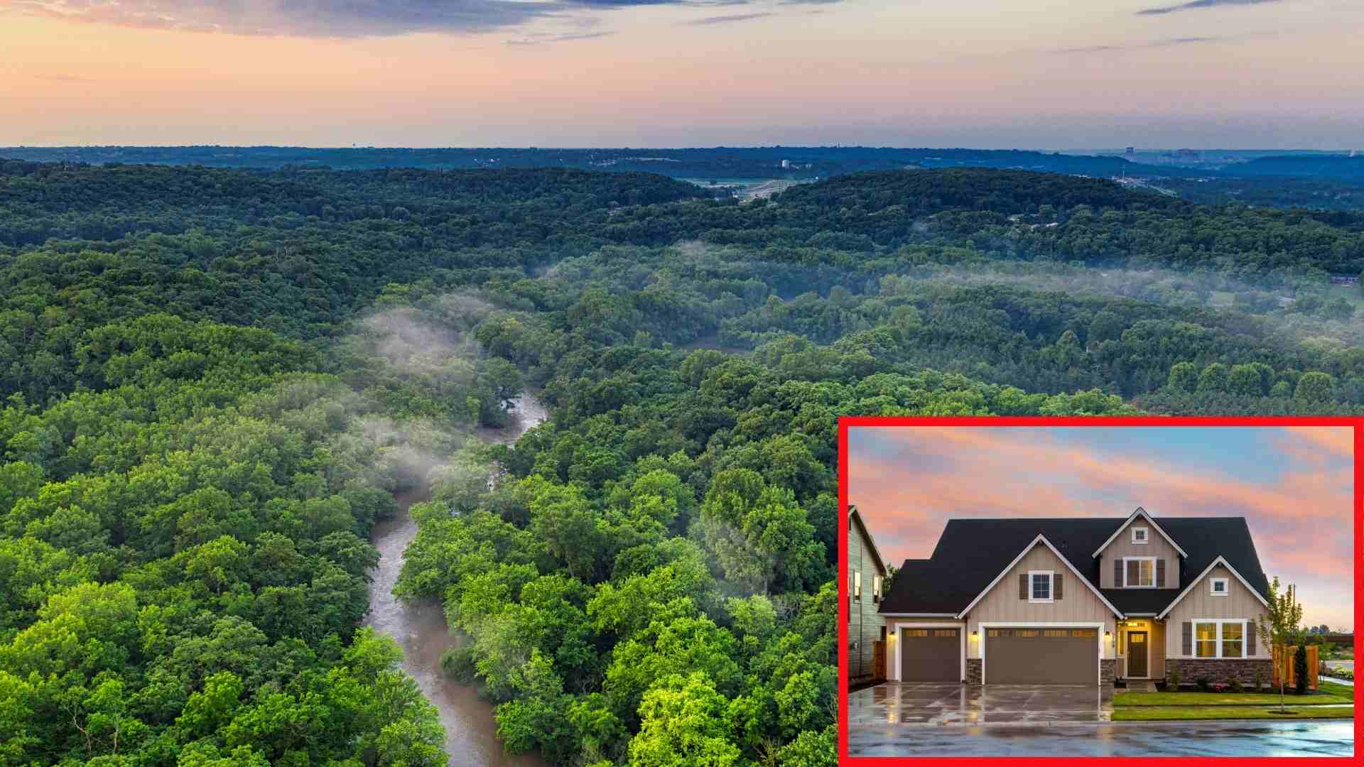 Conversion of protective forest land is defined as the change of land use purpose. Graphics: Thach Lam