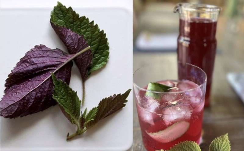 Perilla leaves: The secret to effectively reducing visceral fat. Graphics: Huong Giang
