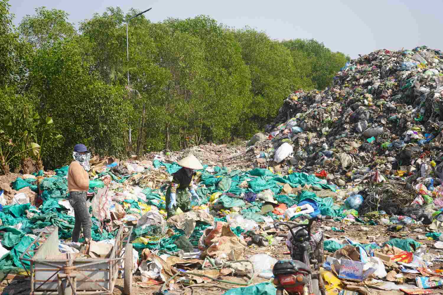 Bai rac nam tren tuyen de giap song Thai Binh, thuoc dia ban thon Bac Phong, xa Kien Thiet, Tien Lang, Hai Phong. Anh: Mai Dung