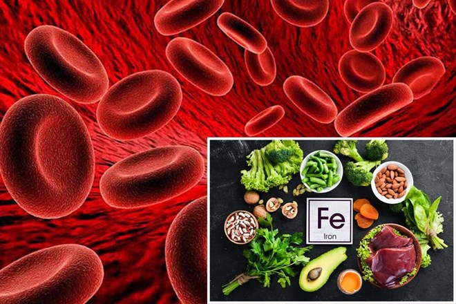 How much iron do you need each day to prevent anemia? Graphics: Thien Nhan