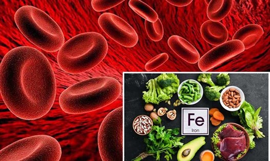 Bạn cần bao nhiêu sắt mỗi ngày để ngăn ngừa thiếu máu. Đồ hoạ: Thiện Nhân