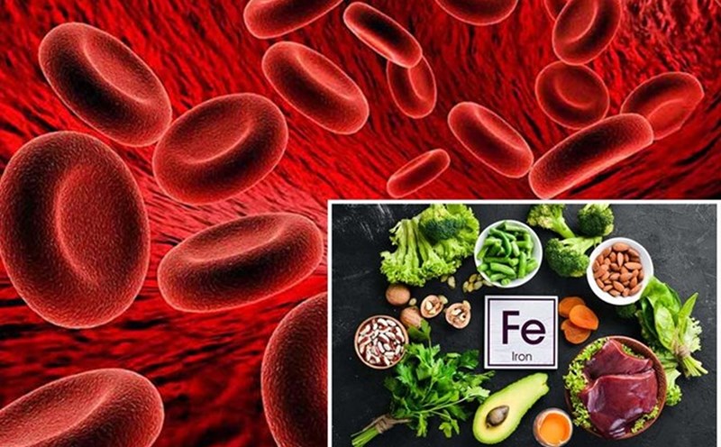 How much iron do you need each day to prevent anemia? Graphics: Thien Nhan