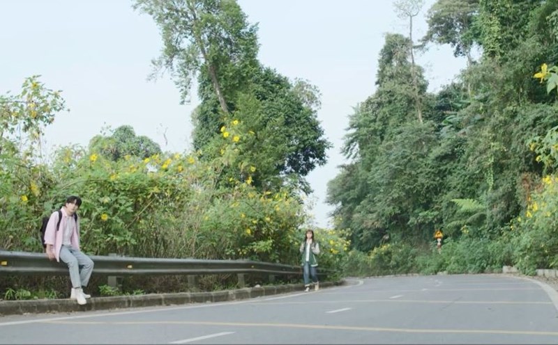 A scene from the movie Live to Love