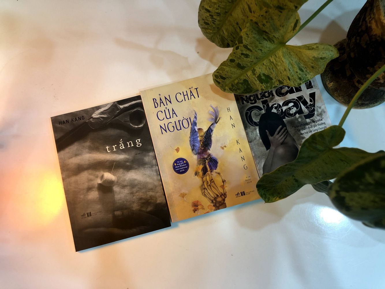 Nhung cuon sach da duoc dich sang tieng Viet cua nha van Han Kang. Anh: Nha xuat ban