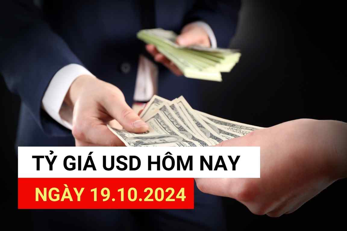 USD exchange rate today 10/19/2024.