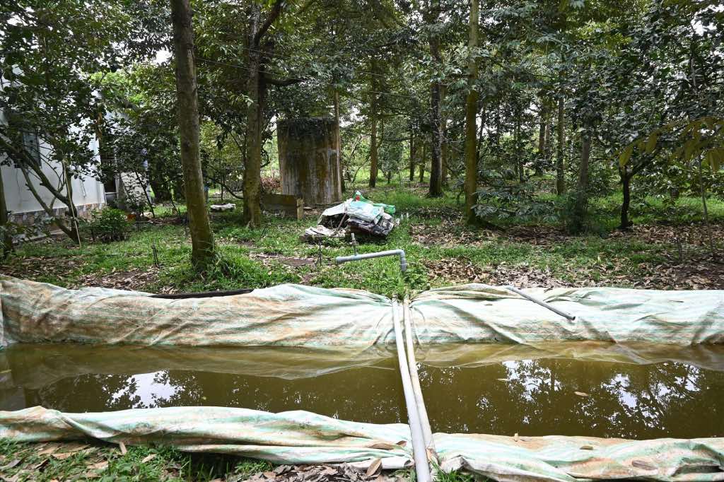 People in Chau Thanh district (Ben Tre province) proactively store fresh water to water plants during saltwater intrusion in 2023. Photo: Thanh Nhan