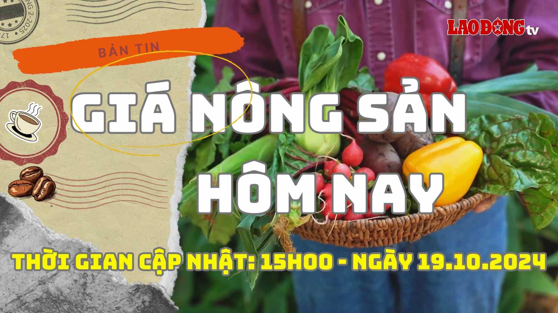 Today's Agricultural Prices October 19, 2024. Photo: Phan Tuan