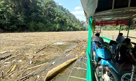Rác phủ kín mặt hồ thủy điện Tuyên Quang khiến việc giao thông thủy gặp khó khăn. Ảnh: Thanh Phúc.