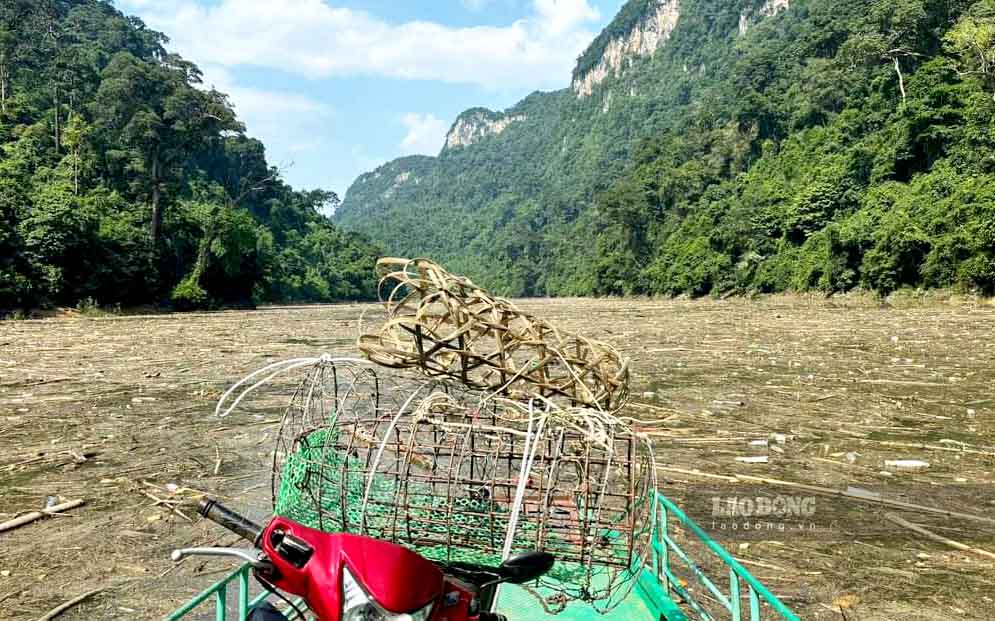 Cac loai than, canh la cay, rac thai nhua do ve long ho thuy dien Tuyen Quang sau mua lu. Anh: Thanh Phuc.