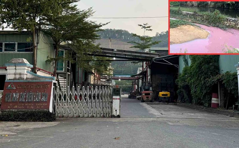 The forest products processing factory of Son Thuy Joint Stock Company (Mong Hoa commune, Hoa Binh city) brazenly discharged wastewater into the environment. Photo: Khanh Linh