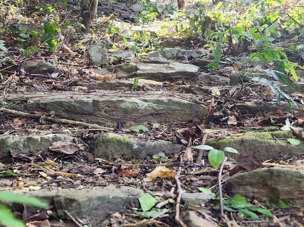 The "North-South" route is more than 1km long. Photo: P.Hoang