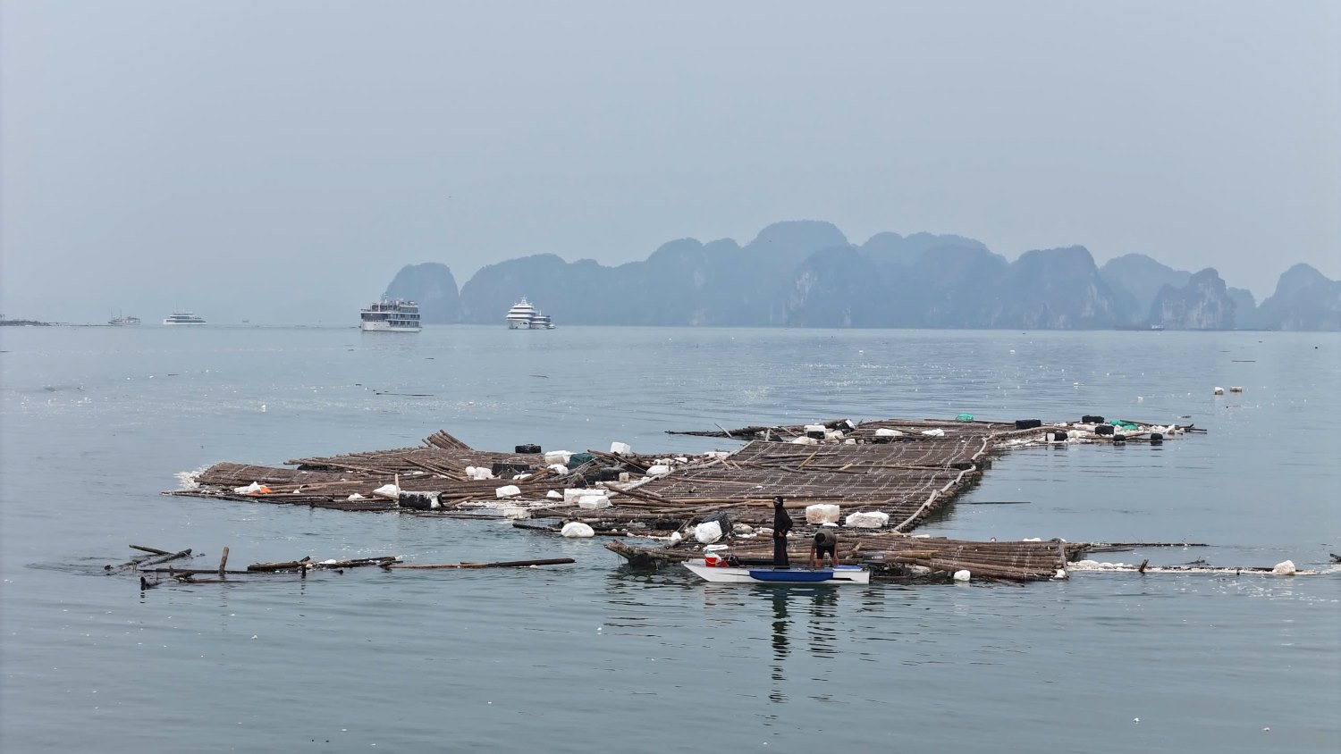 Long be nuoi trong thuy san cua ngu dan tai vung dem vinh Ha Long bi bao so 3 danh vo, troi dat khap noi. Anh: Hoang Duong