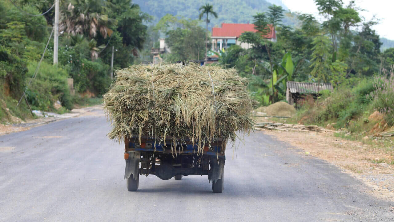 Thuan tien cho viec di lai cua nguoi dan dia phuong. 