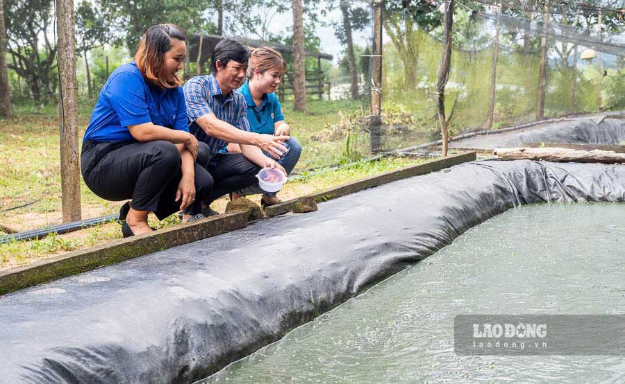 Chi Tran Thi Kim Thao, Pho Bi thu doan xa Cua Duong cho biet, mo hinh cua anh Tan rat hay va dang tren da phat trien tot. Khong chi co hieu qua kinh te rat la cao ma con gop phan phat trien cho du lich, mon am thuc tu loai ca dac biet thu hut du khach. Xa doan se phoi hop voi anh Tan de ho tro cho doan vien thanh nien cua minh trong viec hoc hoi mo hinh, nuoi ca thuong pham.