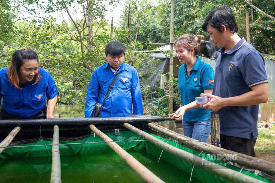 Dac biet, thit ca rat bo duong do trong ca co ham luong chat dam cao. Ca chinh suoi co the che bien thanh thanh nhieu mon an da dang nhu nuong, chien, nau lau chua... Mon an tu ca chinh suoi cung la mot net dac trung gop phan chung cho su phat trien du lich o dao ngoc Phu Quoc.