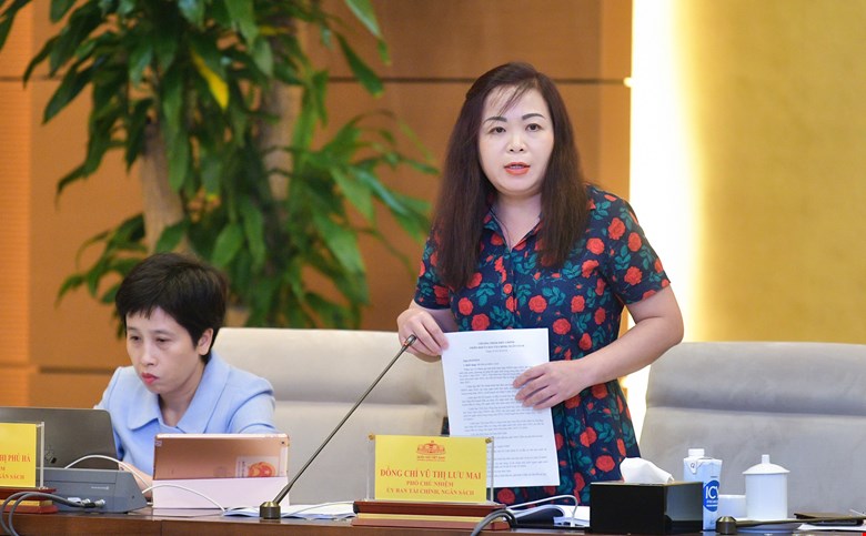 Vice Chairwoman of the Finance and Budget Committee Vu Thi Luu Mai presented the preliminary audit report. Photo: Quochoi.vn