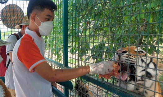 Vườn thú Mỹ Quỳnh nhiều năm qua là điểm tham quan thu hút đông đảo lượng khách trong và ngoài tỉnh. Ảnh: An Long