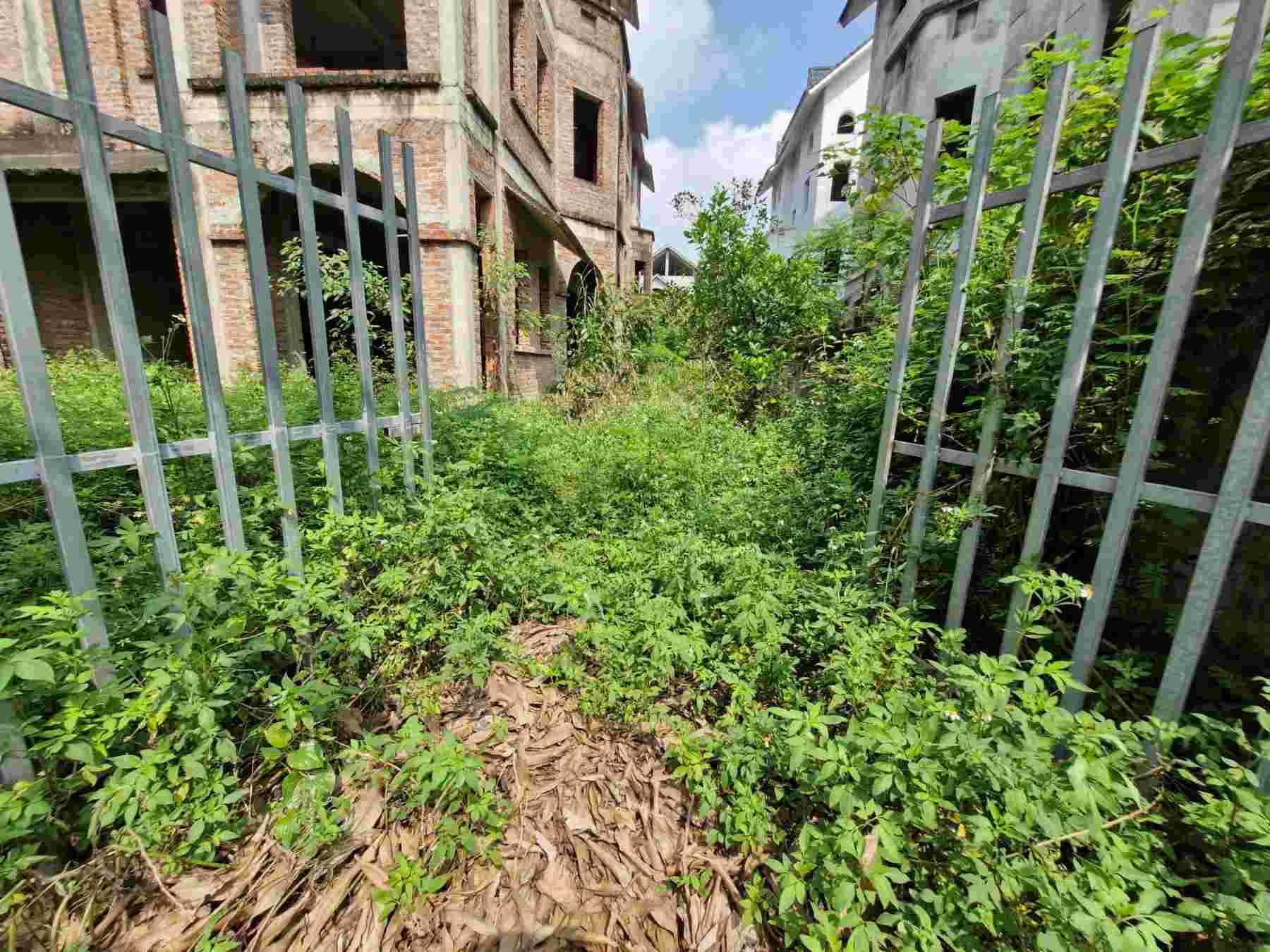 Cỏ dại bao vây những căn biệt thự ở Phương Viên (huyện Hoài Đức, Hà Nội). Ảnh: Thu Giang