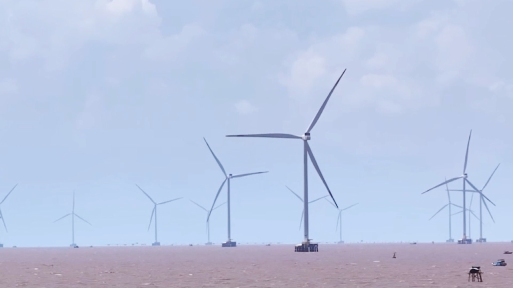 Ben Tre focuses on developing green energy. Photo: Thanh Nhan