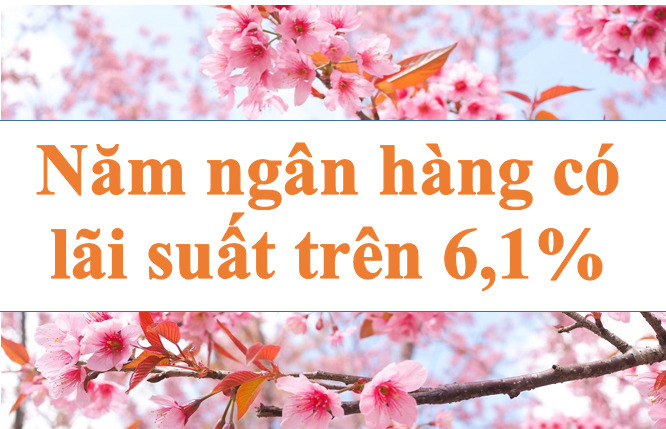 Năm ngân hàng có lãi suất trên 6,1%. Ảnh minh họa: Hà Vy