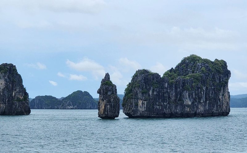 Bai Tu Long Bay. Photo: Nguyen Hung