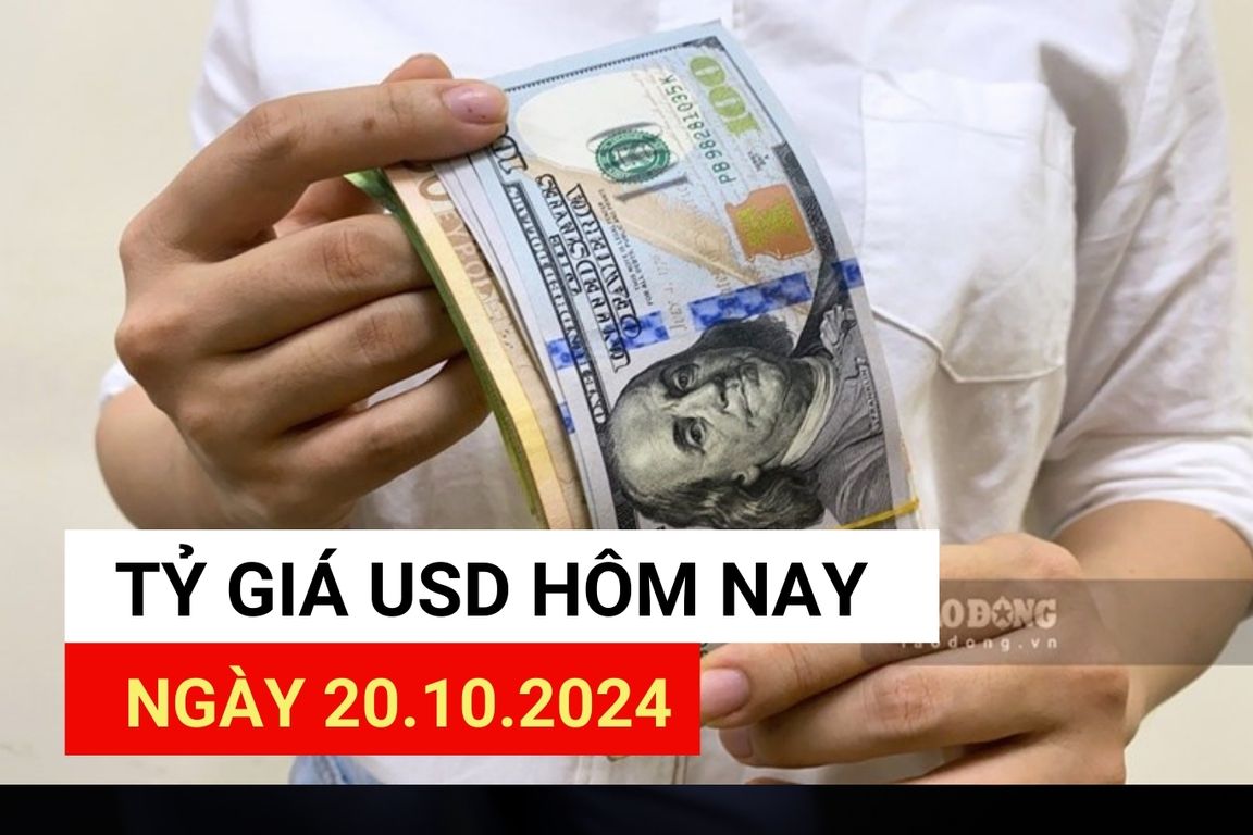 USD exchange rate today October 20: Why did USD increase so dramatically?