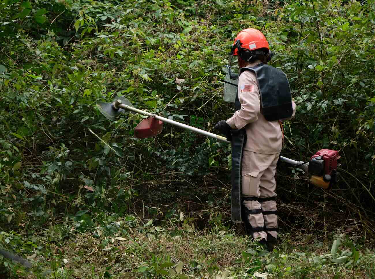 Nhung bong hong cua doi ra pha bom min tai Quang Binh dang ngay ngay hoat dong hang say voi cong viec cua minh. Anh: MAG/Bart Verweij