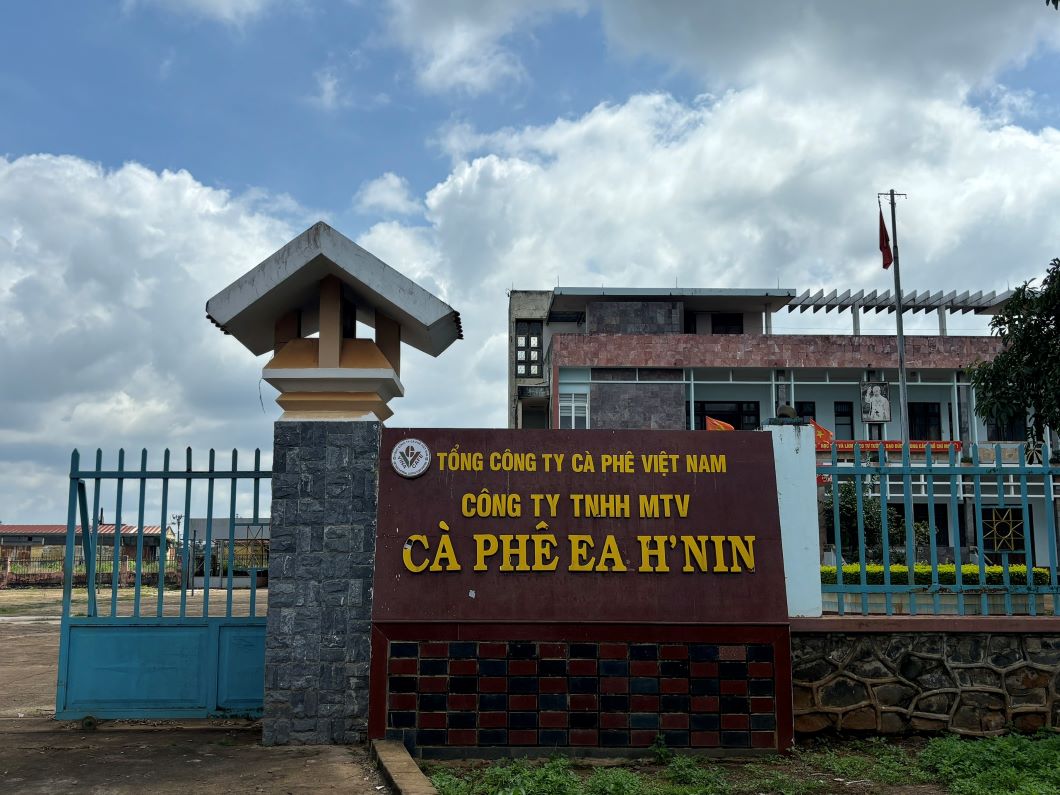 Ea H'nin Coffee Company Limited - one of four tax-indebted enterprises. Photo: Anh Minh