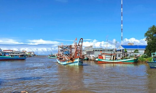 Ngư dân tỉnh Cà Mau than vì ngư trường dần ít cá, tôm. Ảnh: Nhật Hồ
