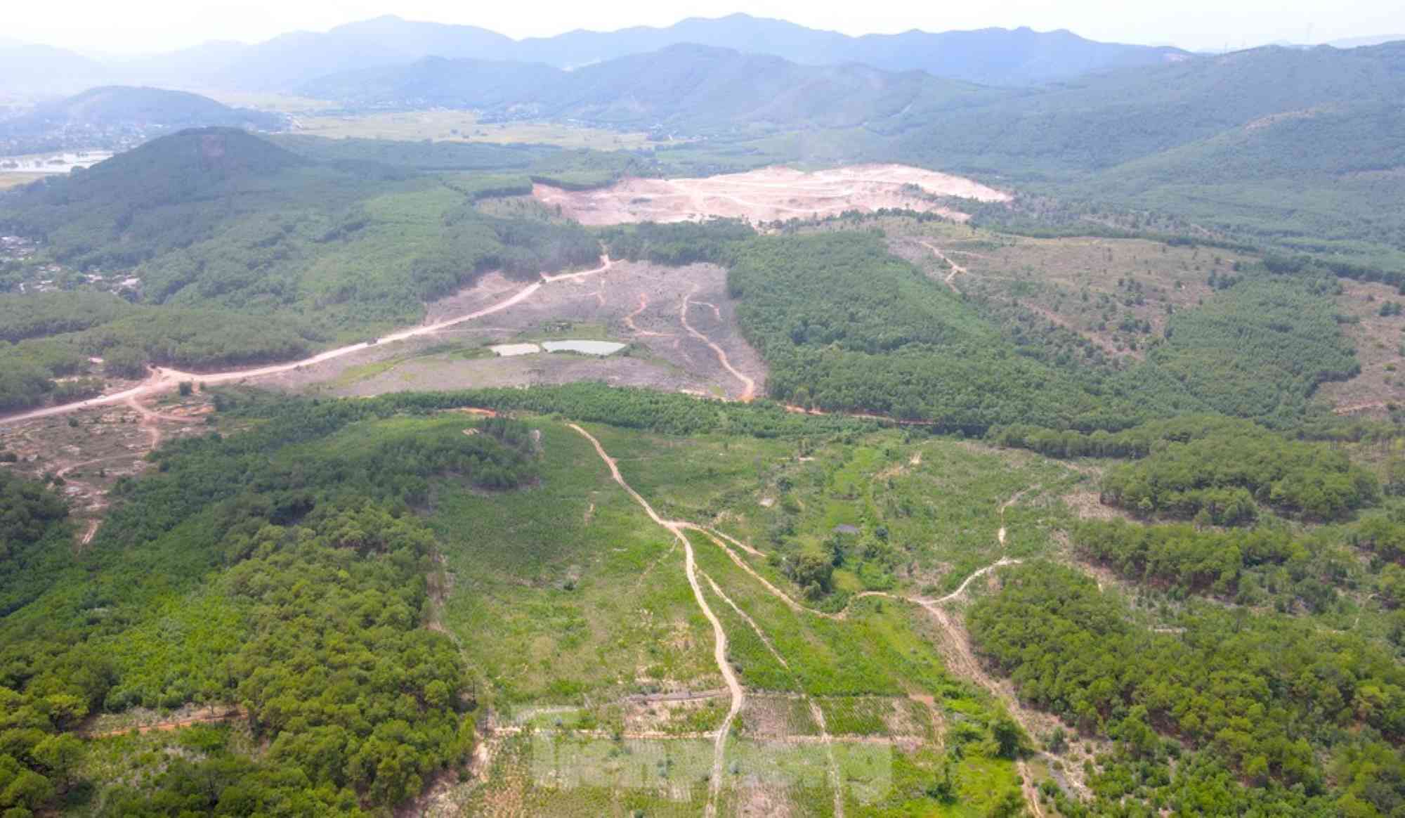 Khu đất quy hoạch xây dựng dự án nghĩa trang công viên sinh thái ở xã Diễn Lợi (huyện Diễn Châu, Nghệ An).
Ảnh: Hải Đăng