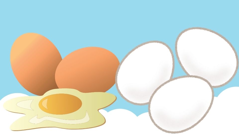 White and brown shelled eggs, which is better? Graphics: Phuong Anh