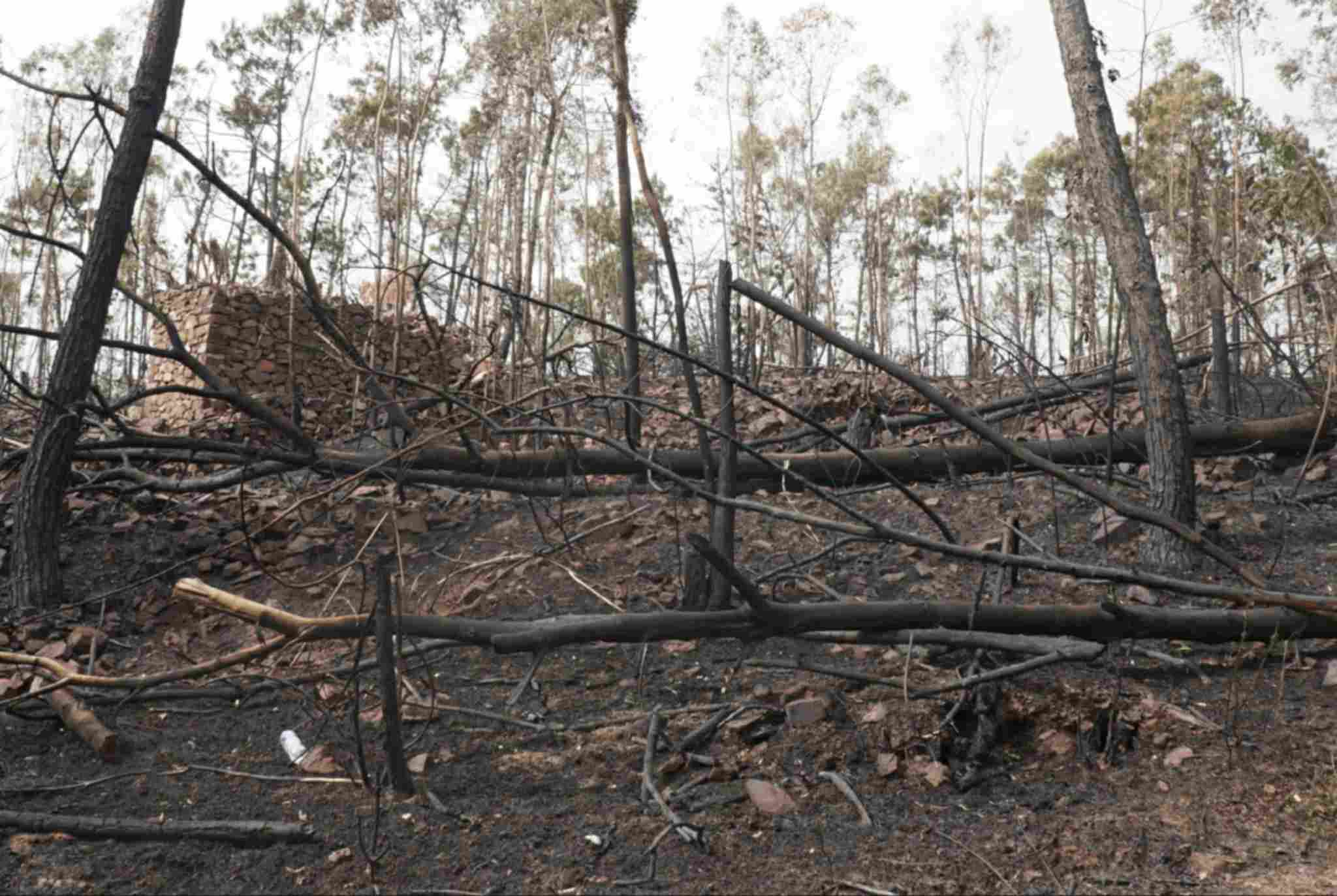 Scene after the fire at Son Dao mountain, Thuy Nguyen district, Hai Phong city. Photo: Cong Hoa
