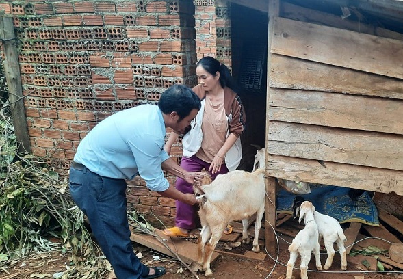 Vocational training for rural workers is the key to helping people in Dak Song district (Dak Nong) escape poverty sustainably. Photo: Bao Trung