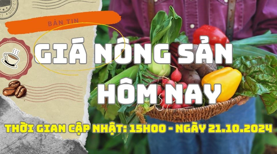 Today's Agricultural Prices October 21, 2024. Photo: Phan Tuan