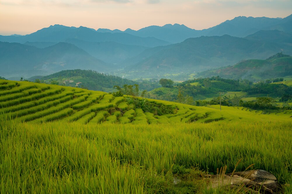 Anh Phan Thanh Canh (31 tuoi, sinh song tai TP Ha Long) cho biet minh va gia dinh moi nam deu co thoi quen du lich Binh Lieu, chi tuy vao thoi gian cho phep ma o lai nhieu hay it ngay. Anh: NVCC