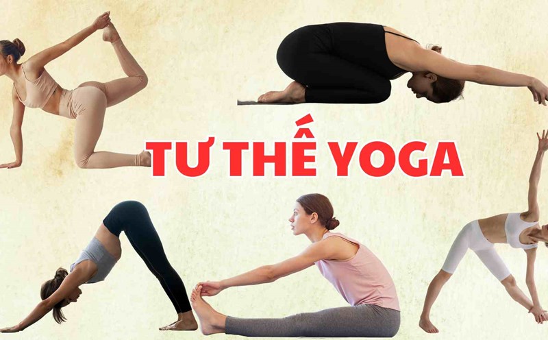 5 yoga poses to help your hips become more flexible. Graphic photo: Khanh Ngoc